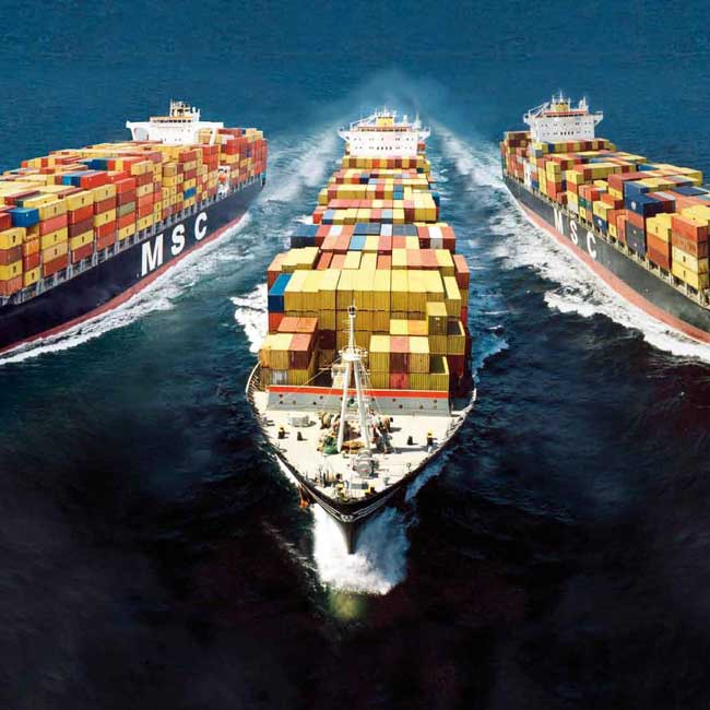 logistiek advies
