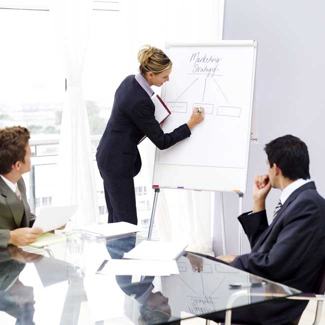 project management